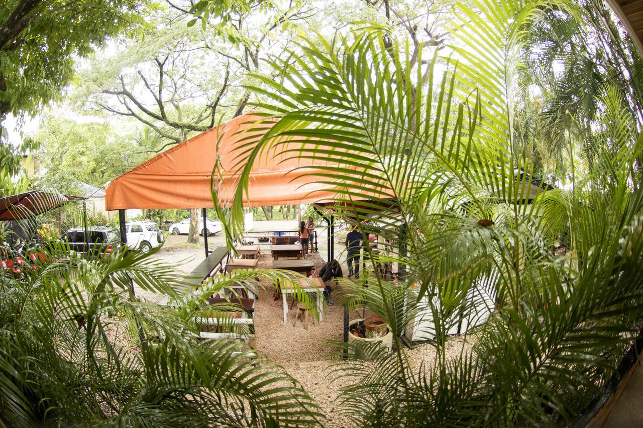 Disfrutalo Hotel Playa Santa Teresa  Exterior photo